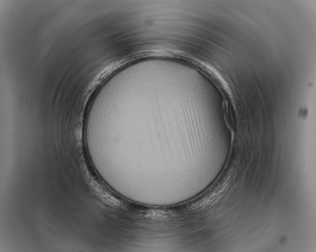 X0000098010938200804251111