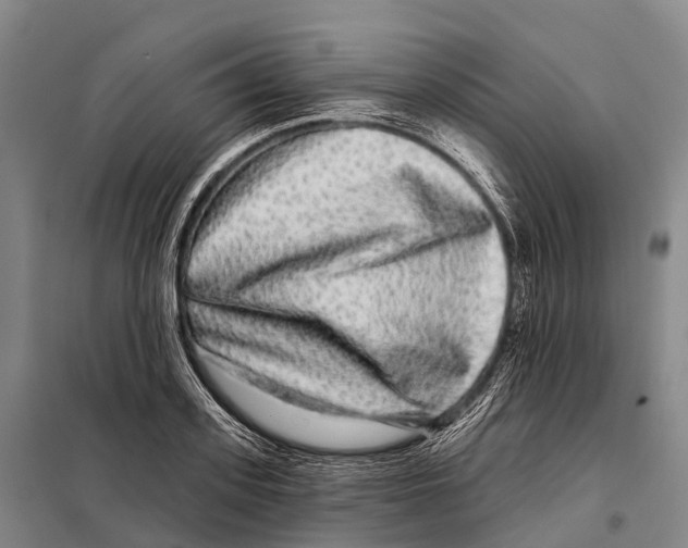 X0000098010939200804251111