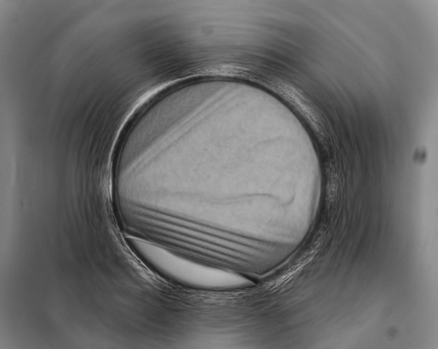 X0000098010940200804251111