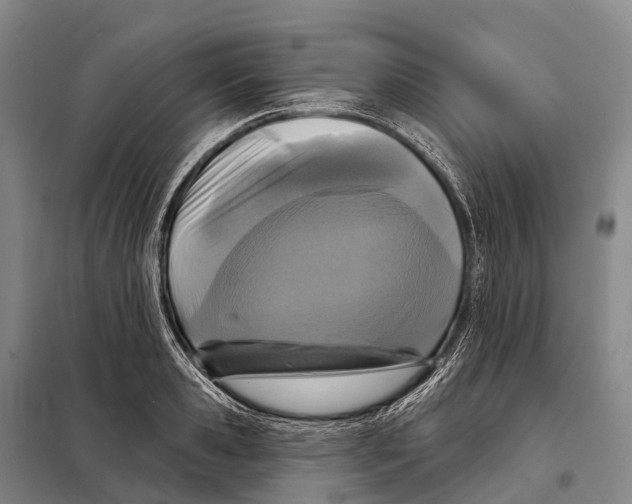 X0000098010941200804251111