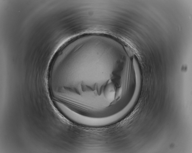 X0000098010942200804251111