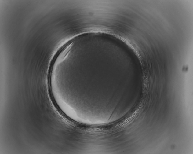 X0000098010943200804251111