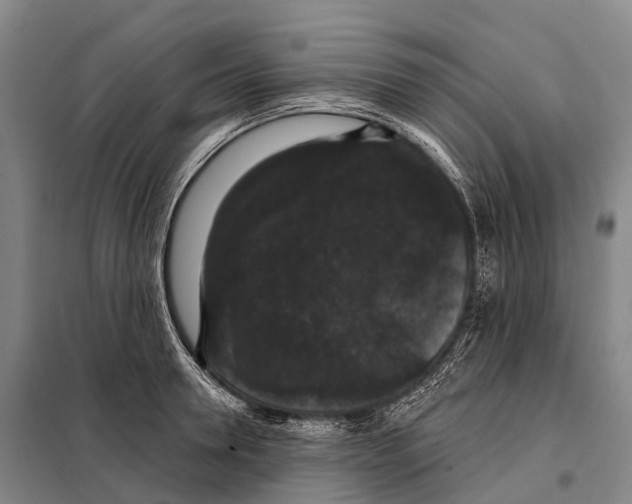 X0000098010946200804251111