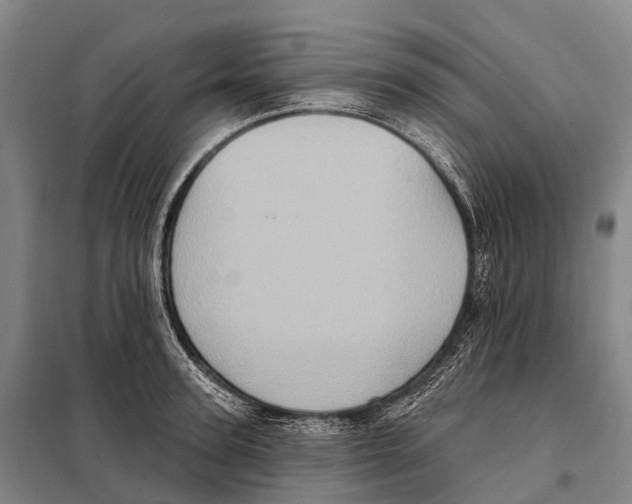 X0000098010947200804251111