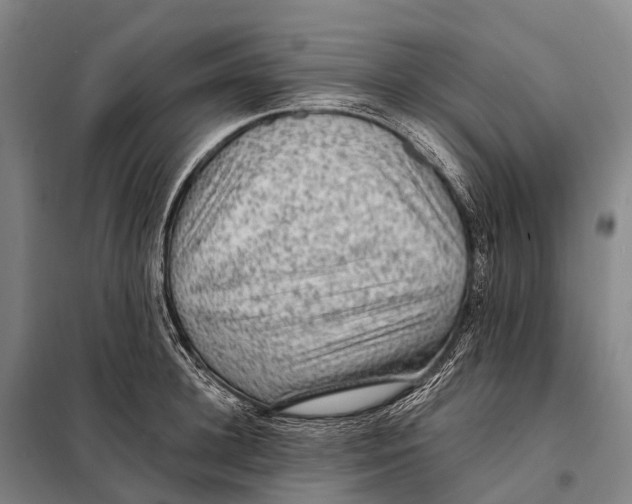 X0000098010948200804251111