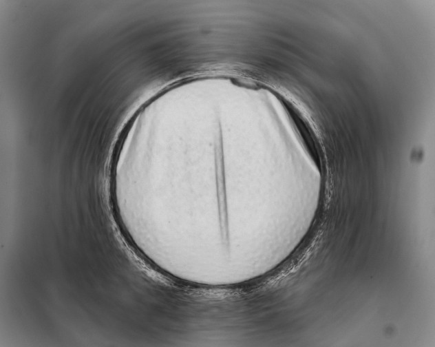 X0000098010949200804251111