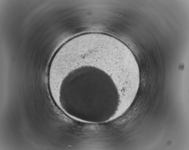 X0000098010950200804251111