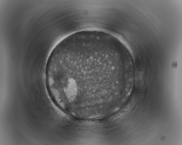 X0000098010951200804251111