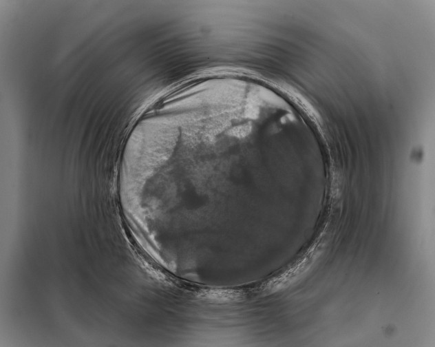 X0000098010953200804251111