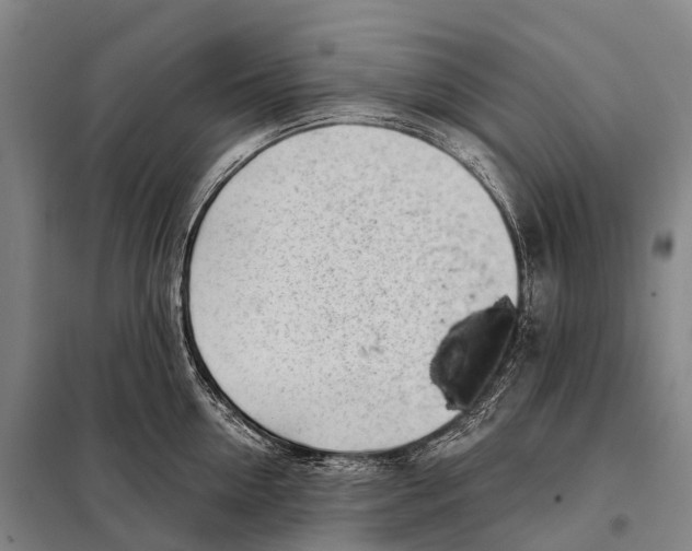 X0000098010954200804251111