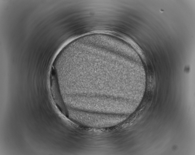 X0000098010955200804251111