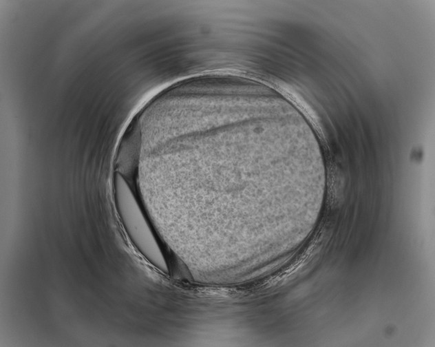 X0000098010956200804251111