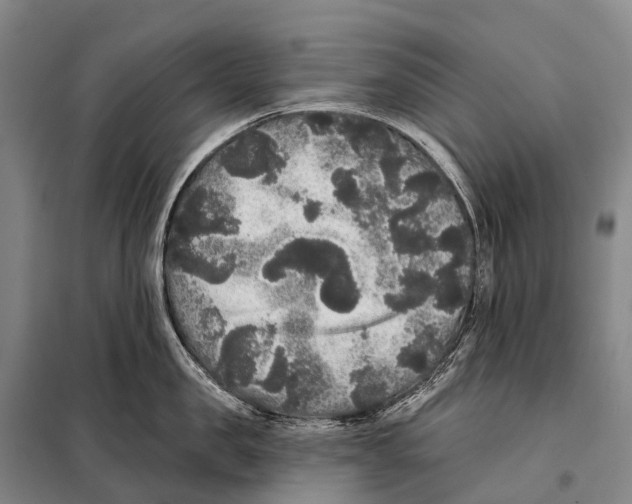 X0000098010957200804251111