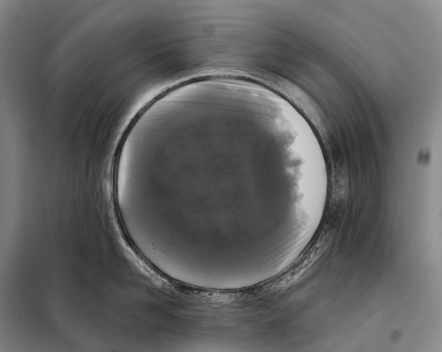 X0000098010958200804251111