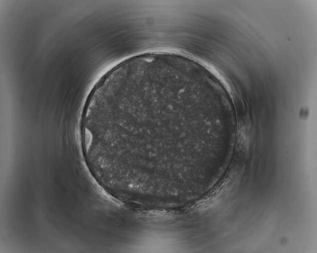 X0000098010959200804251111