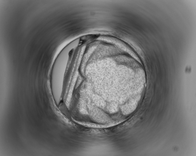 X0000098010960200804251111