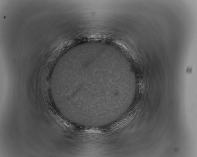 X0000098010961200804251111