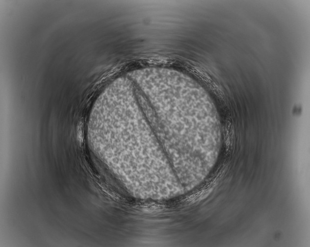 X0000098010962200804251111