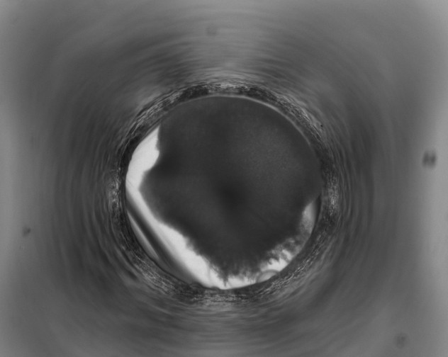 X0000098010964200804251111