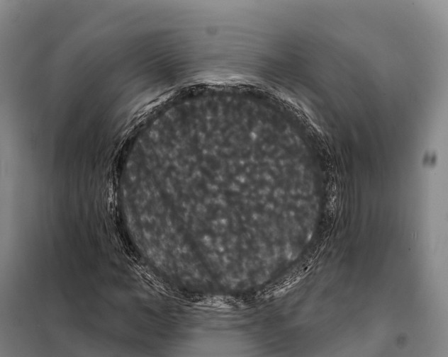 X0000098010966200804251111