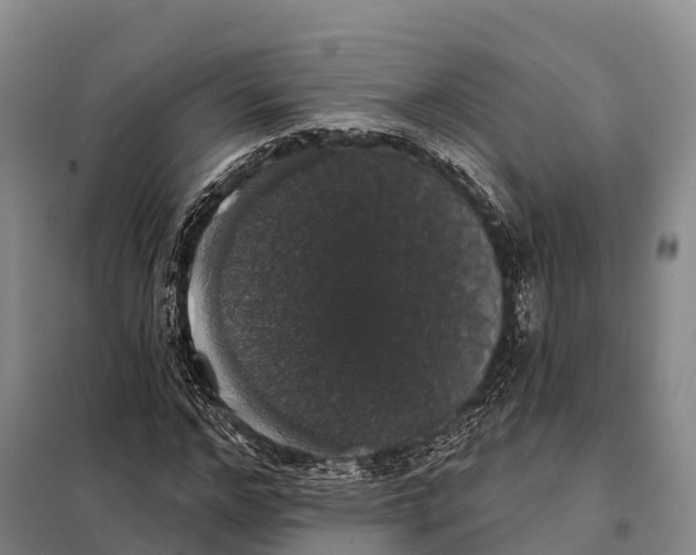 X0000098010968200804251111