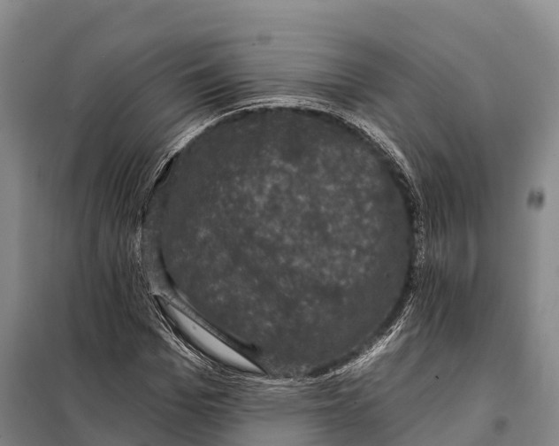 X0000098010969200804251111