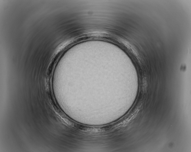 X0000098010970200804251111