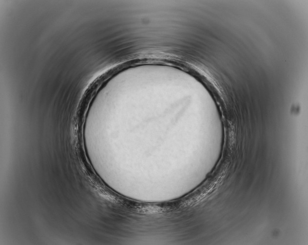 X0000098010971200804251111