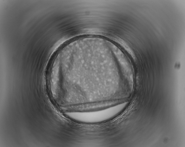 X0000098010972200804251111