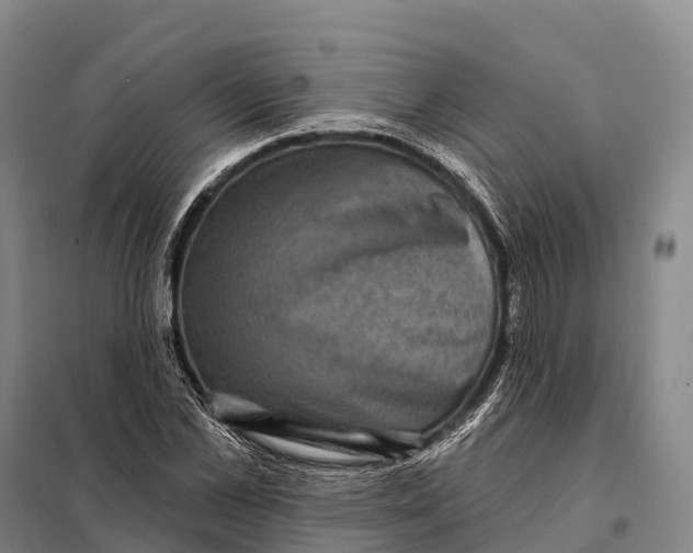 X0000098010973200804251111