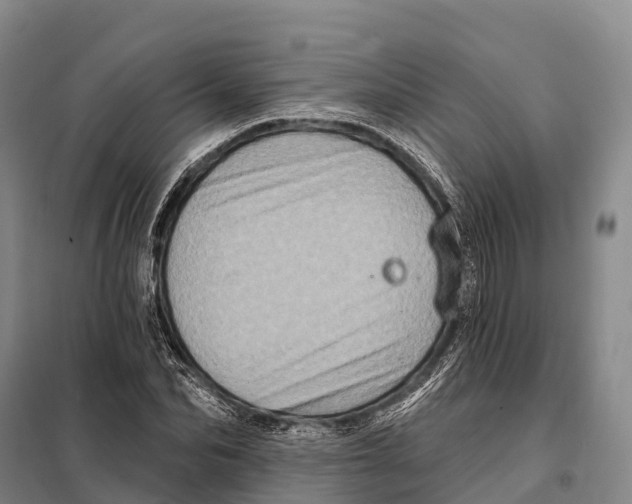 X0000098010974200804251110