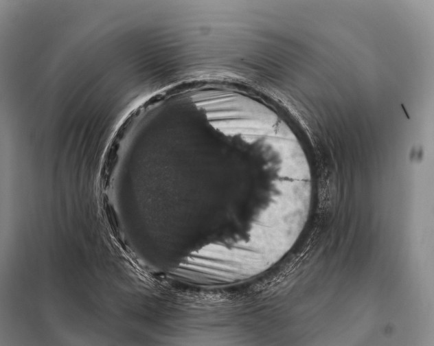 X0000098010975200804251110