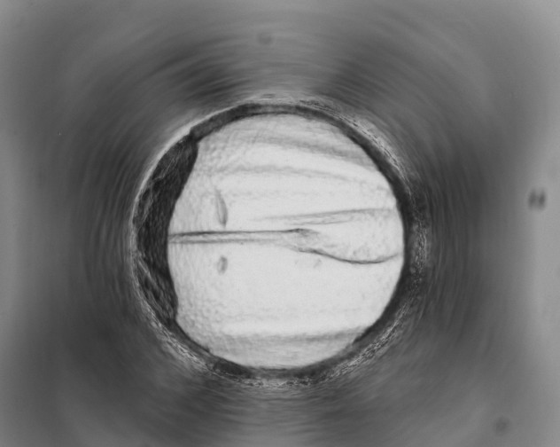 X0000098010976200804251110