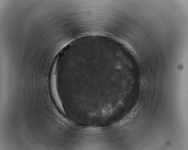 X0000098010977200804251110