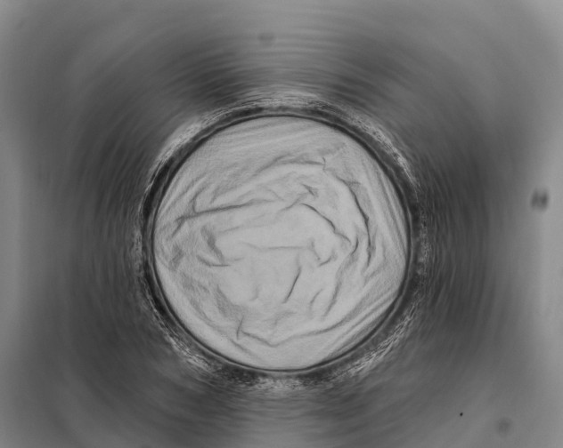 X0000098010978200804251110