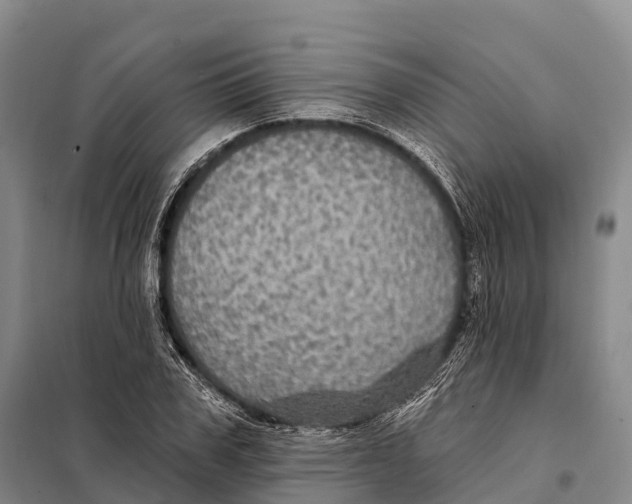 X0000098010979200804251110