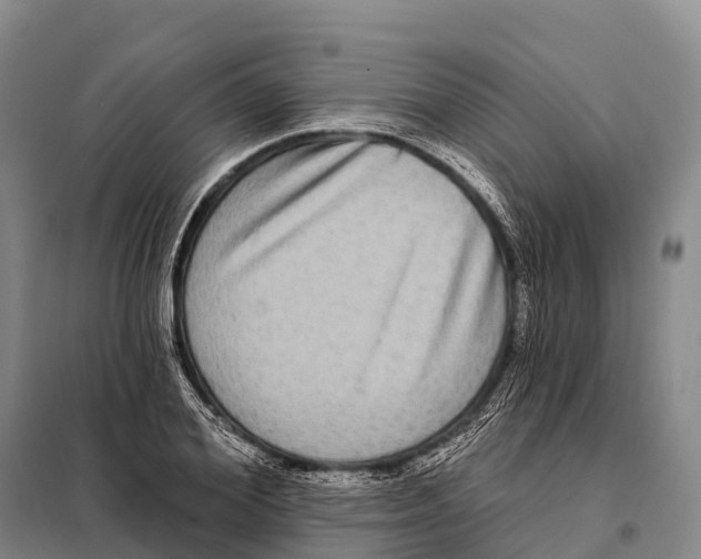 X0000098010980200804251110