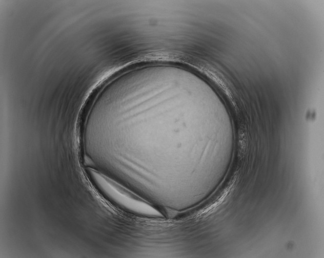 X0000098010981200804251110