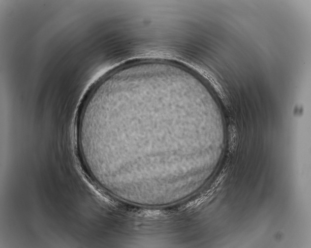 X0000098010982200804251110