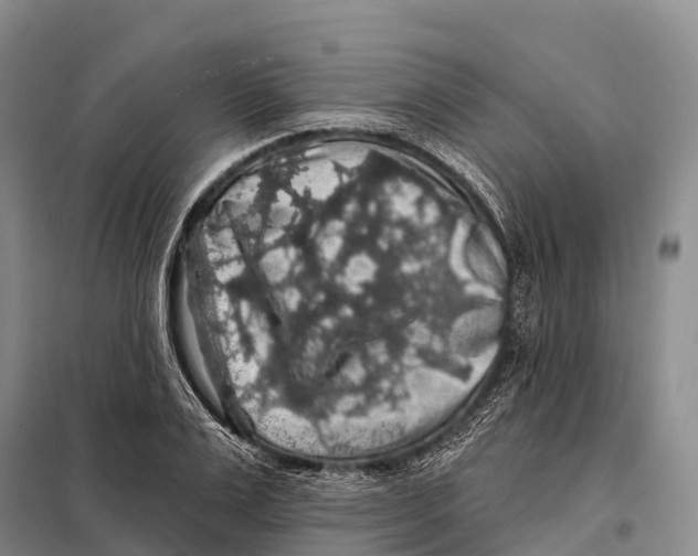 X0000098010983200804251110