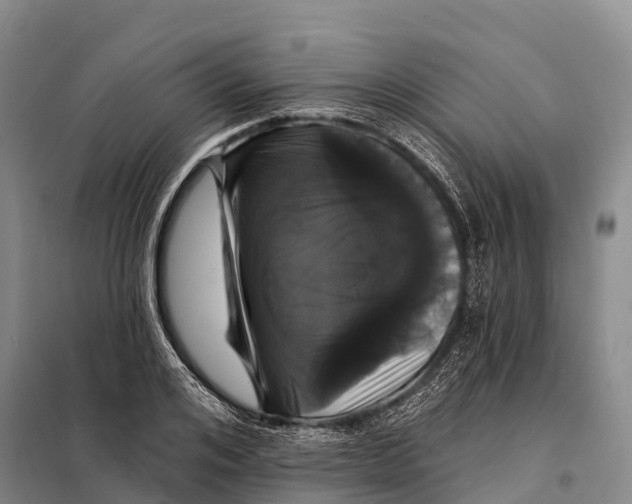 X0000098010984200804251110