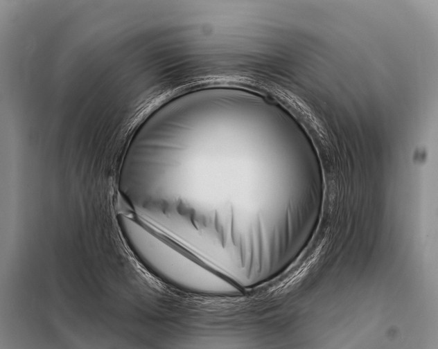 X0000098010985200804251110