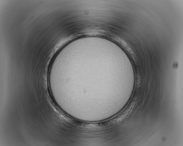 X0000098010986200804251110