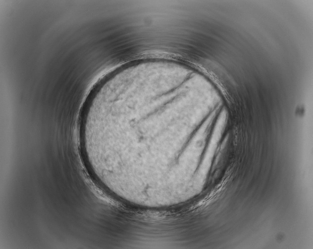 X0000098010987200804251110