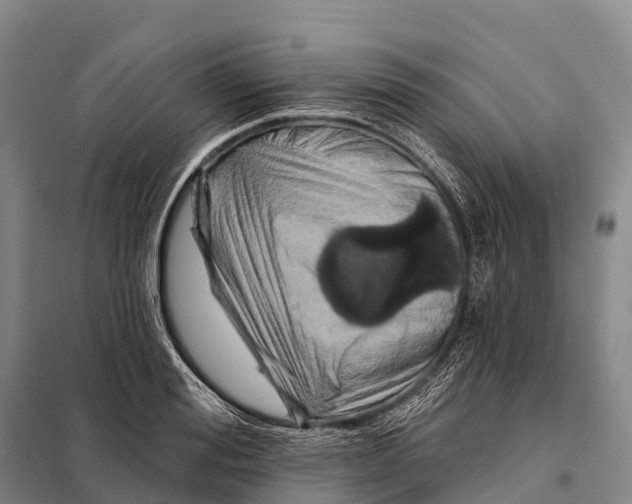 X0000098010988200804251110