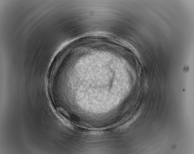 X0000098010989200804251110