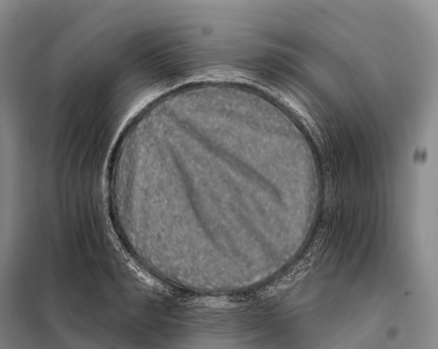 X0000098010990200804251110