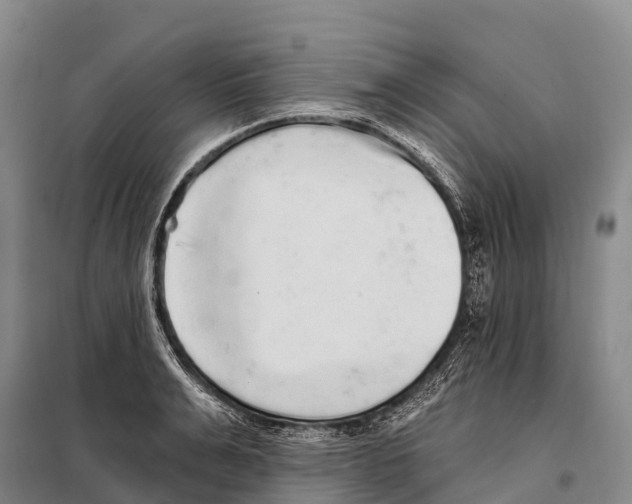 X0000098010991200804251110