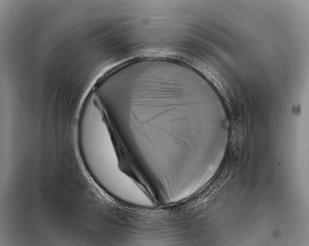 X0000098010992200804251110