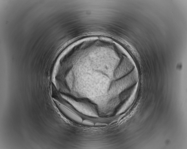 X0000098010993200804251110